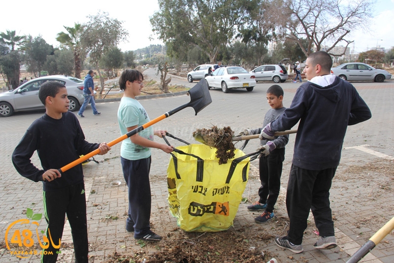taso mashro3 tandaef (19).JPG